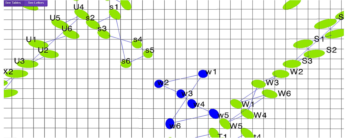 Genomul uman și social - Concatenarea pe trei butoane