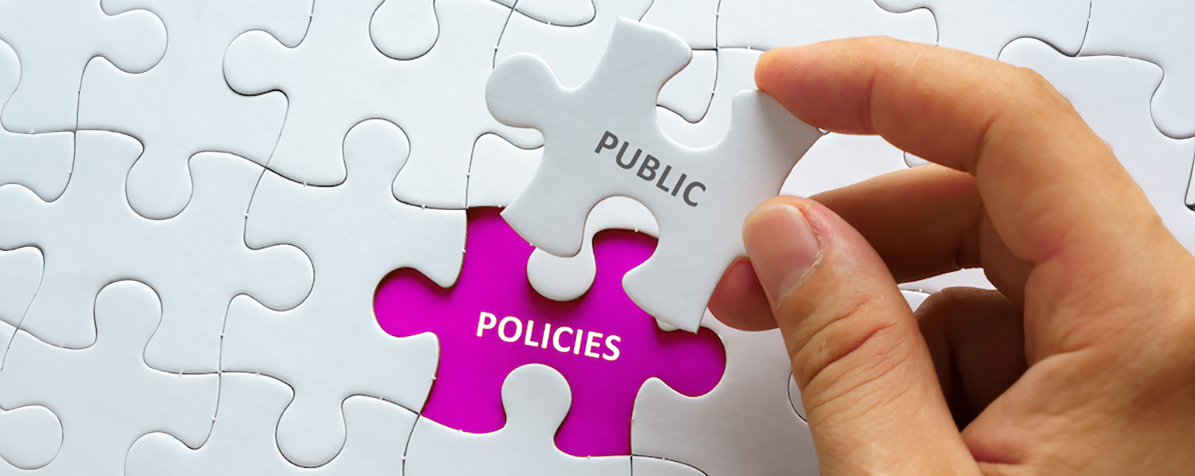 Aplicatii in generarea de politici publice